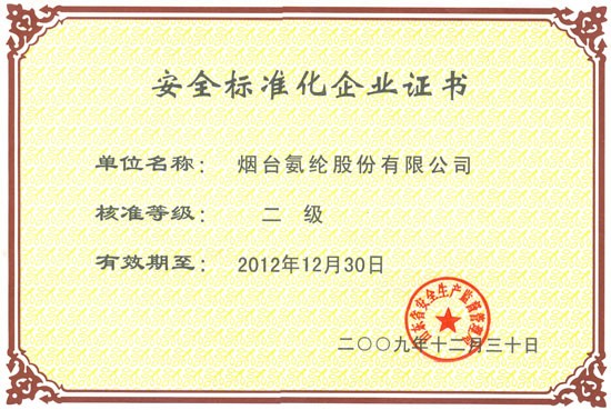 2009年，通过山东省安监局安全标准化二级审核。