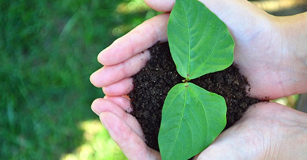 满18崴请按此在线视频