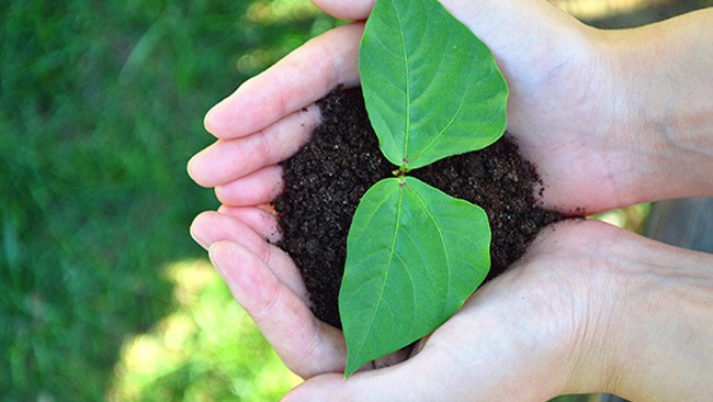 满18崴请按此在线视频